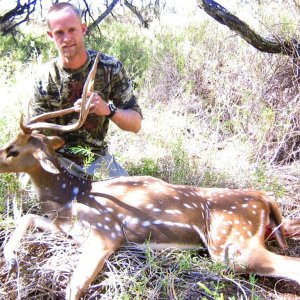 Mike & Axis Deer