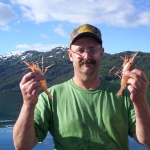 Shrimp @ Pigot Bay P.W.S. 2005