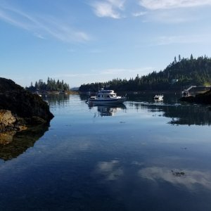 Peterson bay