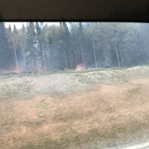 #1 Sterling Hwy at Jean lake late last July/Aug, the day before it jumped the Hwy.