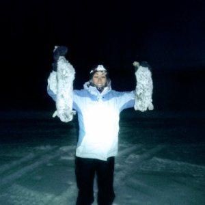 Dr. Kay Sturm & her first Snowshoe Hares of 2020. She makes the best darn rabbit stew / soup you ever had!!