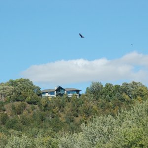Nice home, nice view but a long way to carry cooler.