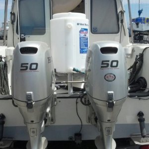 Media 'Bait Tank C-Hawk 1' in album 'C-Hawk'