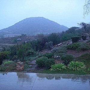 Media 'Rain 1' in album 'Rain 0'