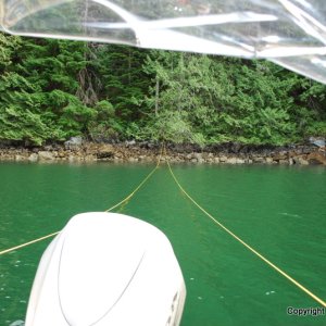 Long stern tie, Desolation Sound, B.C
July 2010