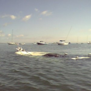 Noticed this today while steaming out to Napoleon in the dinghy...what an awful call from the harbor master....