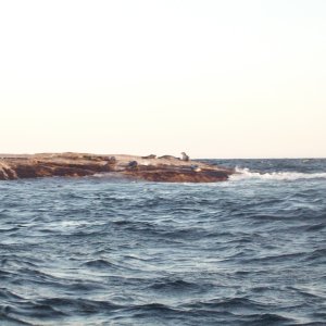 Isle of Shoals Sep 26 2009
