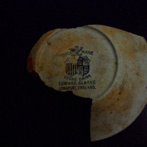 Dish fragment recovered while diving off Outer Brewster Island Boston circa 1878-1880.  Info:  http://www.thepotteries.org/allpotters/271.htm