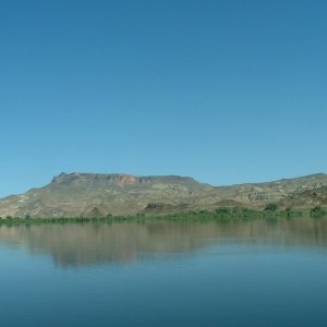 (B~C) there is some vegatation to be found in the high desert