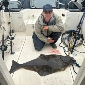 Coastal hali
