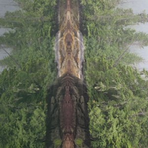Shorline Totem