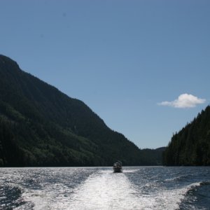 Cruising Tribune Channel
