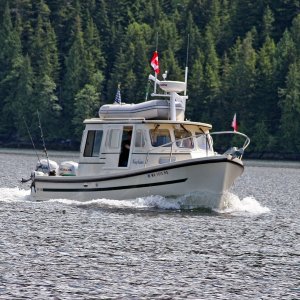 Kingfisher II in Tribune Channel
