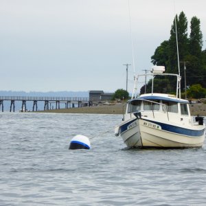22 Angler at south end of Bainbridge Island