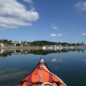 Returning to the marina