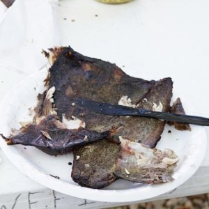 smoked mullet