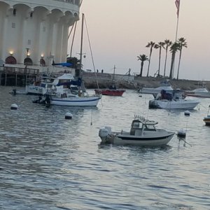 Media 'Avalon Catalina, For the night' in album 'Cruising'