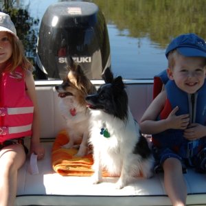 Emma, Daisy, Dabber Doo & Jack