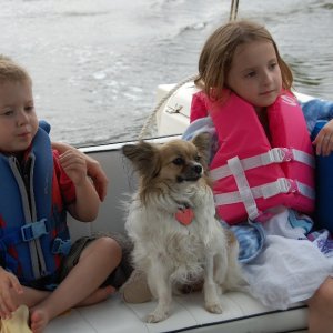 Jack , Daisy & Emma