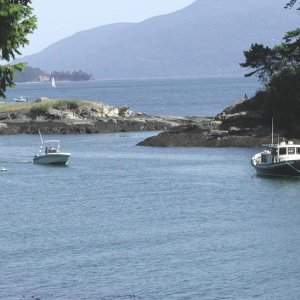 Active Cove, Patos Island, 6-7-03