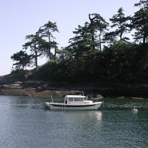Media 'Daydream on the Buoy, Patos Island, 6-7-03' in album 'Active Cove, Patos Island, 6-7-03'
