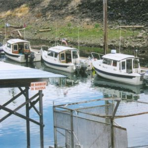 Ready for Fishing