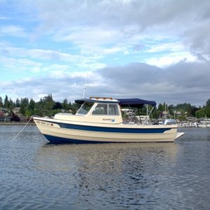 Media 'Such a cutie.' in album 'Departing Boston Harbor Marina just north of Olympia, after topping off the tanks.'