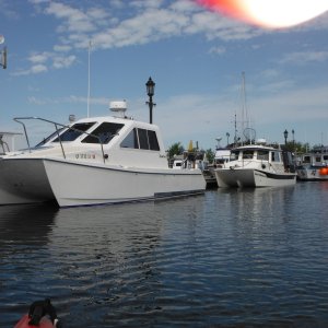 Cod Blue and Reef Madness, Blaine Marina