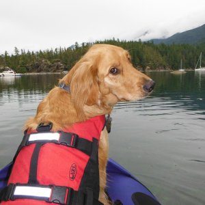 Faster, faster....Docker takes a ride