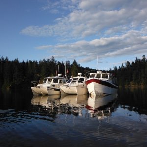 Flotilla Rafting, Squirrel Cove