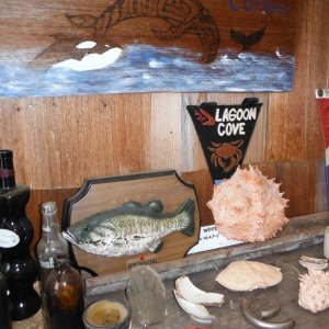 Friendly Lagoon Cove 05/23/2016