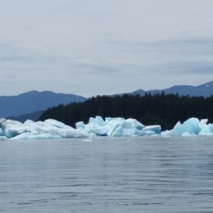 Ice flow at the entrance to Le Conte Glacier 6/5/2016