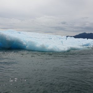 Chasing ice bergs. Le Conte Glacier 6/5/2016