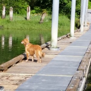 Shore leave at Taku Harbor 6/7/2016