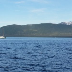 On our way to Elfin Cove from Juneau