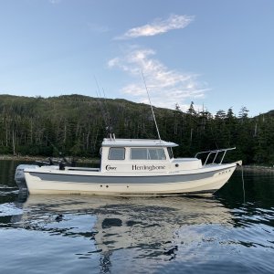 Media 'Herringbone, at rest in West Twin Bay, PWS Alaska (August 2021)' in album 'Cleaned up new boat'