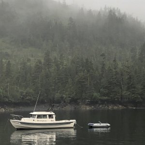 Media 'Herringbone, on anchor in Main Bay, PWS Alaska (June 2021)' in album 'Cleaned up new boat'