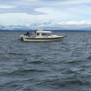 IMG 0924