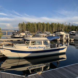 Media 'This years 30 day dock site at Bridge Bay Marina, Yellowstone Lake' in album 'Grandkids Olive & Wrenny learning to drive'