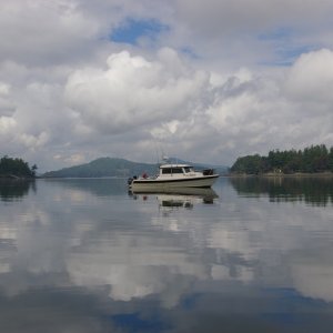 Media 'Anchored in Winter Cove' in album 'Cabbage Island'