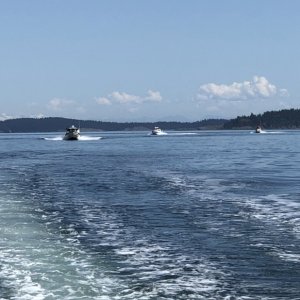 CDorys Headed to Friday Harbor Gathering