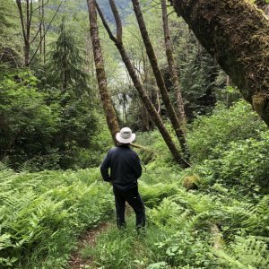 Media 'Hiking at Turnbull Cove' in album 'Our Route to the Broughton Islands'