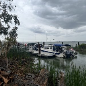 Wheeler Island Dock