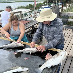 Steve and Carmen cleaning fish
