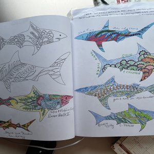 Delta Cruise Coloring Book Page