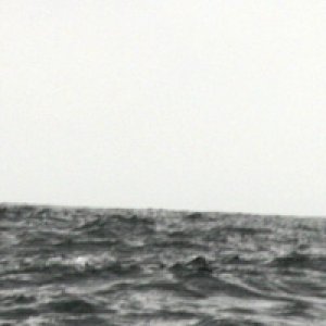 Media 'Sure, it's easy to get this shot, but how many ppl have the shot of the hole in the water just AFTER the dolphin disappears?' in album 'Duhhhhhh...  I think this is about fish or sompin.......'