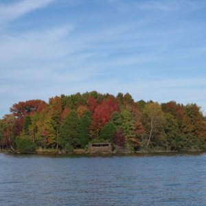 Duck blind on the river