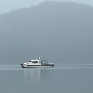 IMG 9261
