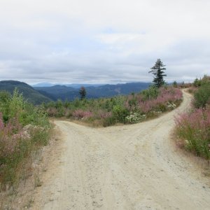 Heading down logging roads on Chuckanut mountain