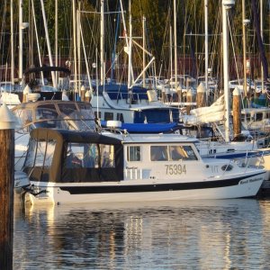 Media 'Reef Madness saturday night' in album 'Approaching Bellingham Thursday night'